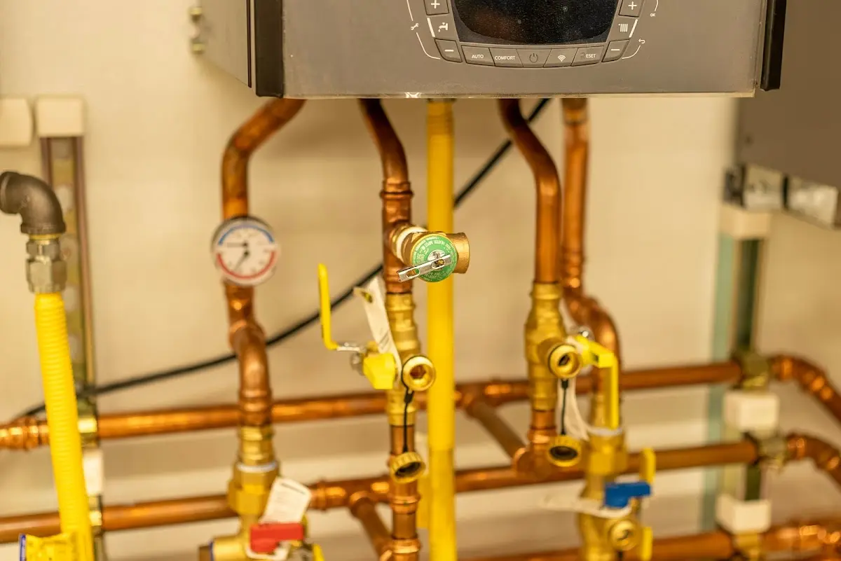 Licensed technician providing Sump Pump Repair for a homeowner in Woodridge